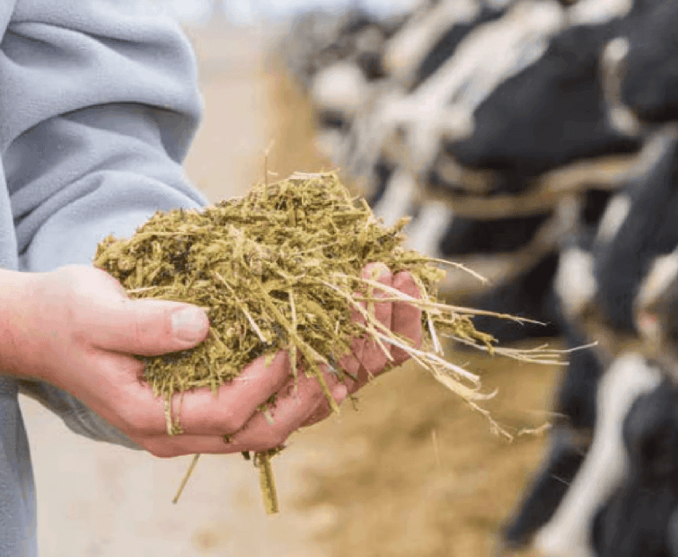 How Idaho Milk Products enriched data with Nectar — Nectar blog